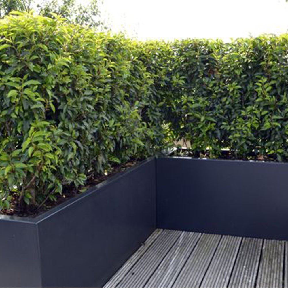 Corten Steel Raised Planter Box Matt Black Finish Bundle - Tool Market